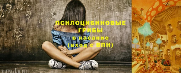 apvp Кинешма