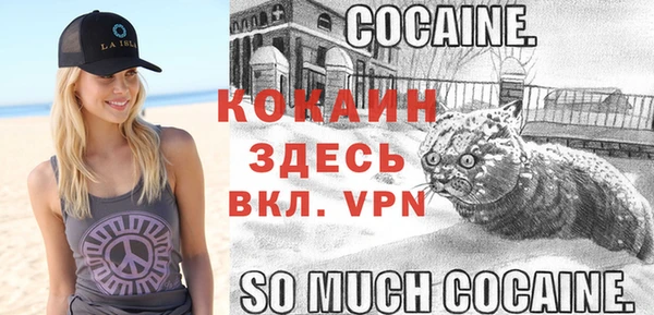 apvp Кинешма