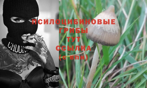 apvp Кинешма