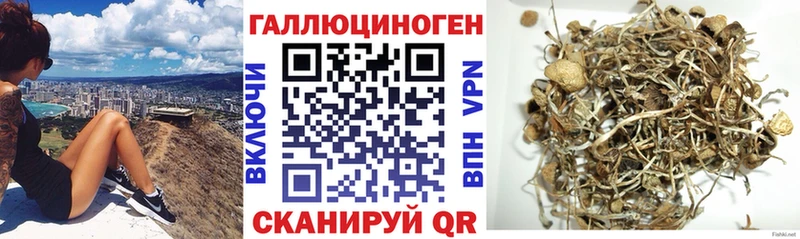 Псилоцибиновые грибы Cubensis  Купить где  Славянск-на-Кубани 